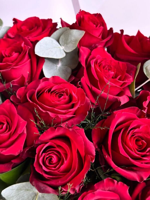 21-adet-kirmizi-kadife-gul-resim2-1697_11zon 21-adet-kirmizi-kadife-gul-resim2-1697_11zon