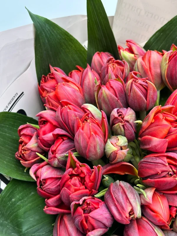 WhatsApp Image 2025-01-27 at 14.29.16_11zon WhatsApp Image 2025-01-27 at 14.29.16_11zon