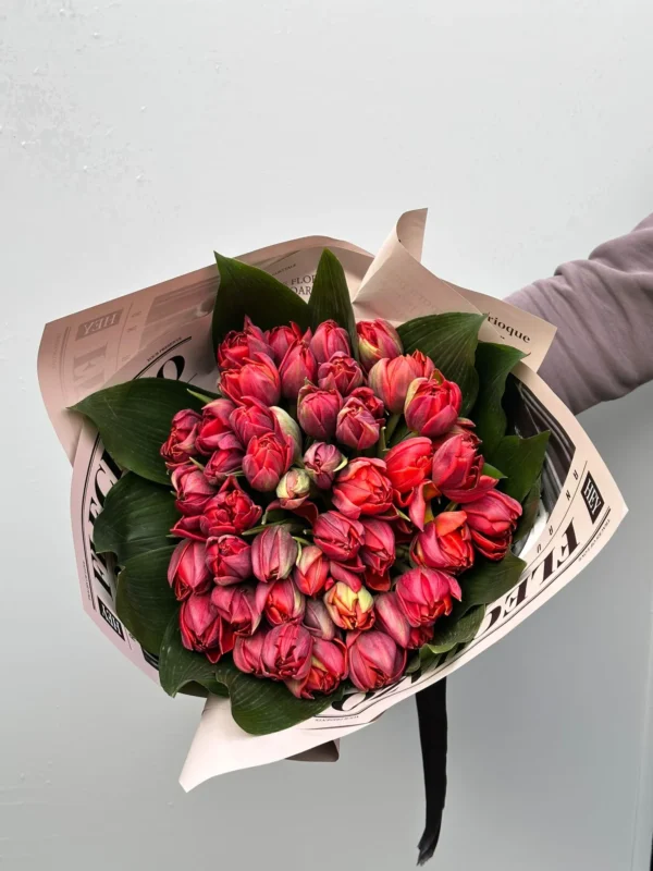 WhatsApp Image 2025-01-27 at 14.29.17_11zon WhatsApp Image 2025-01-27 at 14.29.17_11zon