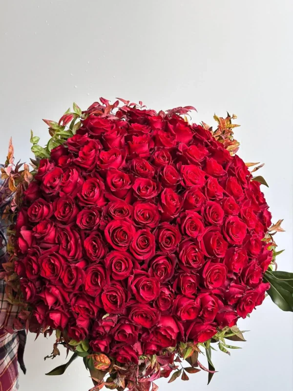 WhatsApp Image 2025-03-13 at 12.19.29_11zon WhatsApp Image 2025-03-13 at 12.19.29_11zon