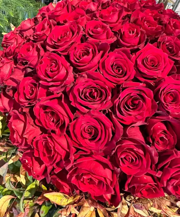 WhatsApp Image 2025-03-13 at 12.19.30 (2)_11zon WhatsApp Image 2025-03-13 at 12.19.30 (2)_11zon