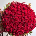 WhatsApp Image 2025-03-13 at 12.19.30_11zon