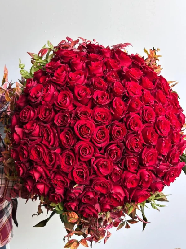 WhatsApp Image 2025-03-13 at 12.19.30_11zon WhatsApp Image 2025-03-13 at 12.19.30_11zon