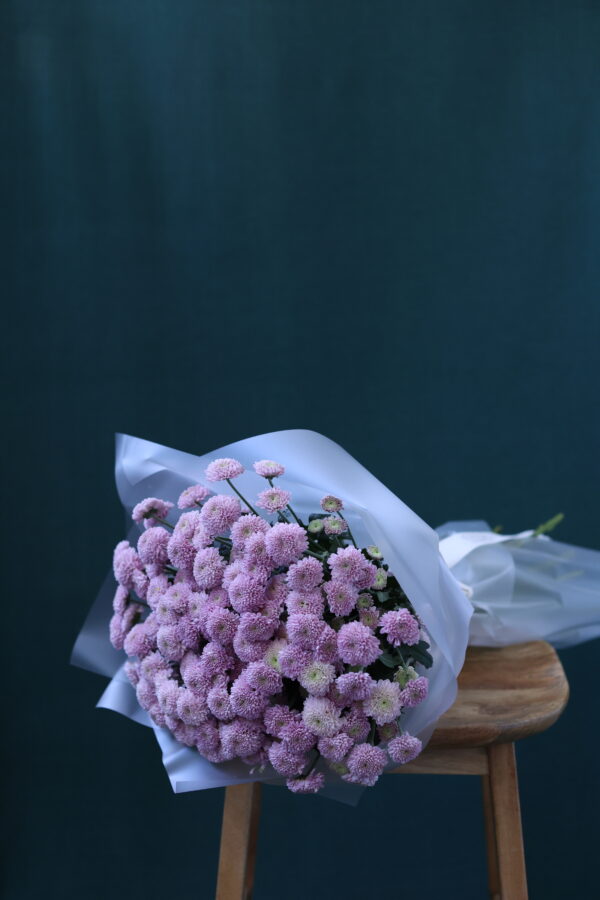 BABY PINK 2 BABY PINK 2