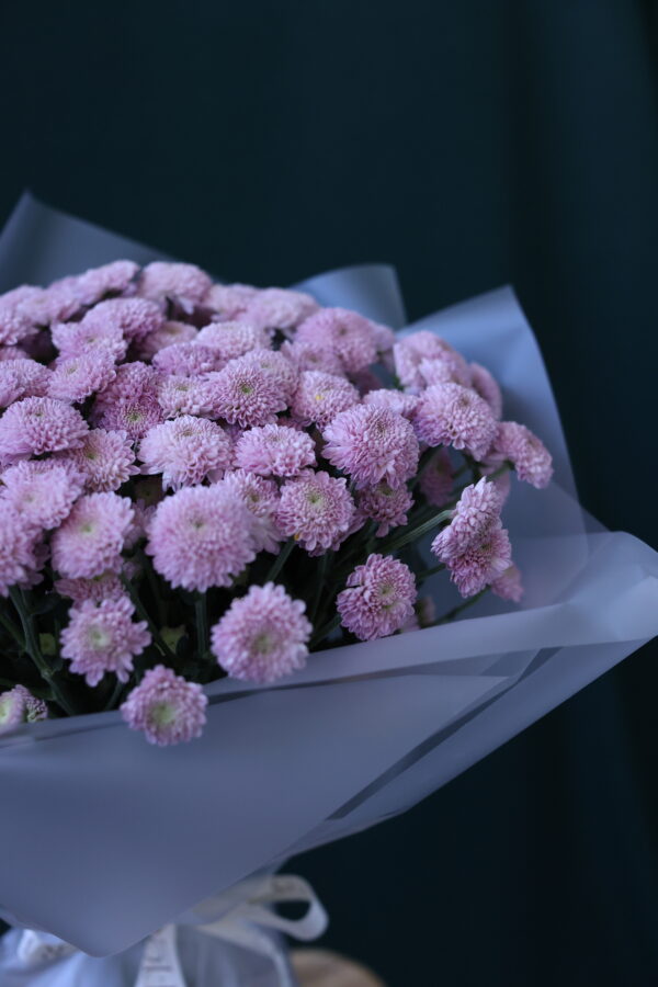 BABY PINK BABY PINK