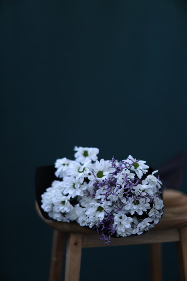 BEYAZ KRİZANTEM 2 BEYAZ KRİZANTEM 2