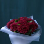 BURGUNDY ANASTASİA