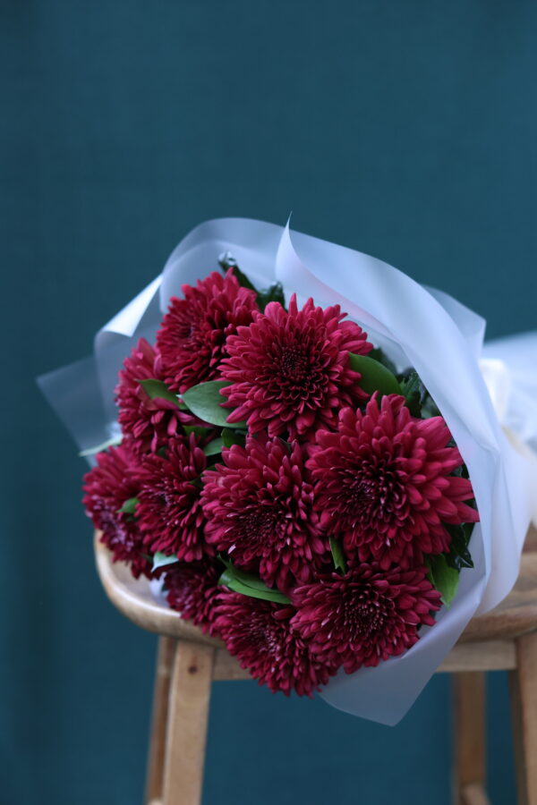 BURGUNDY ANASTASİA 2