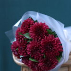 BURGUNDY ANASTASİA 2