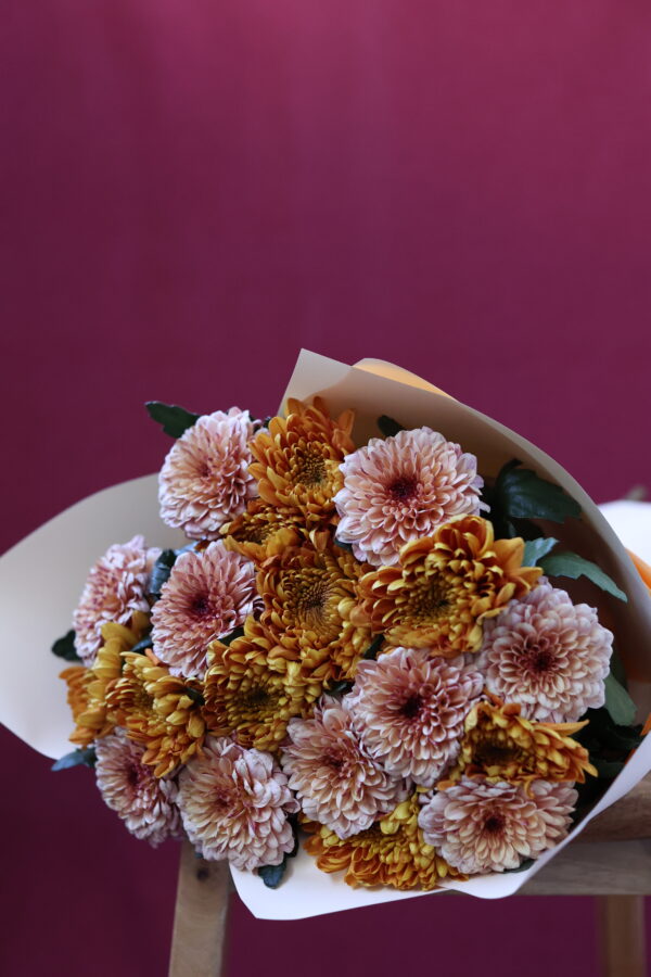 CAPP ORANGE 2 CAPP ORANGE 2