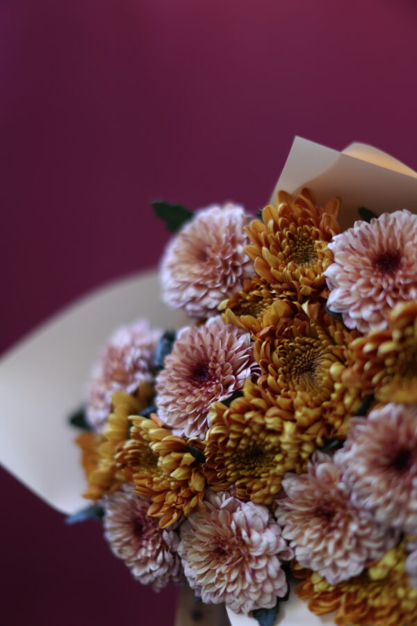 CAPP ORANGE 3 CAPP ORANGE 3