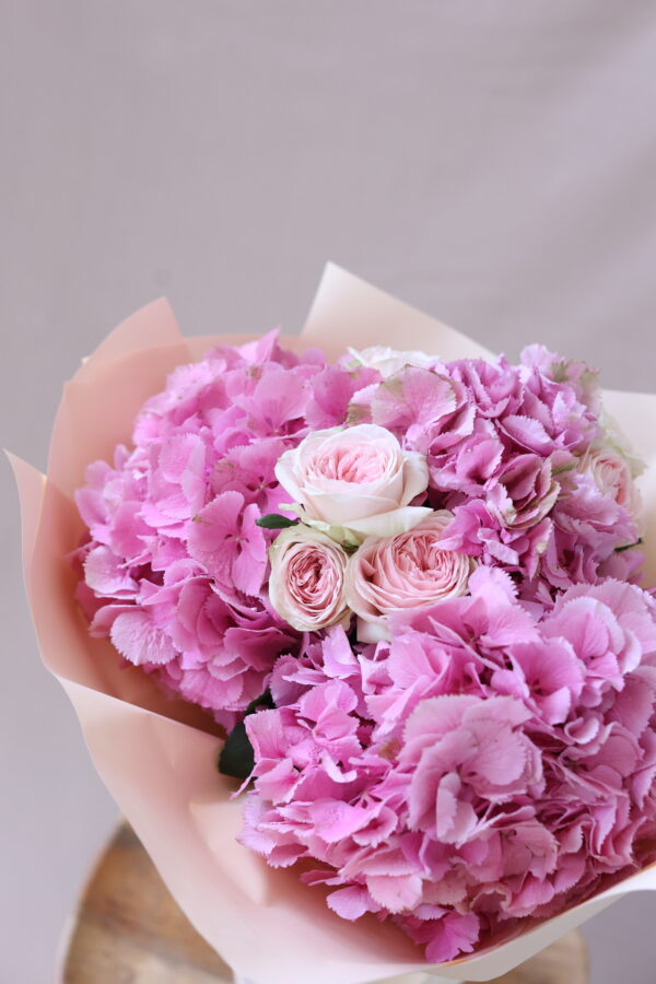 HYDRANGEA HOUSE 3