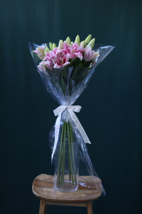 LILY DOUBLE 1 LILY DOUBLE 1