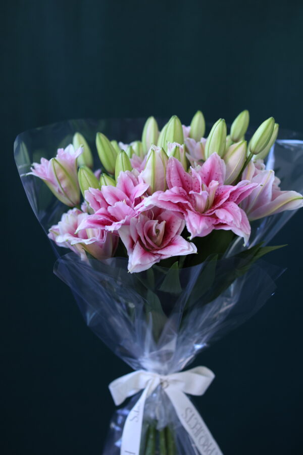 LILY DOUBLE 3 LILY DOUBLE 3