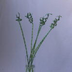 LUCKY BAMBOO 110