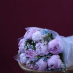 PEONY NINE