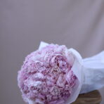 PEONY STAR 51 - 5
