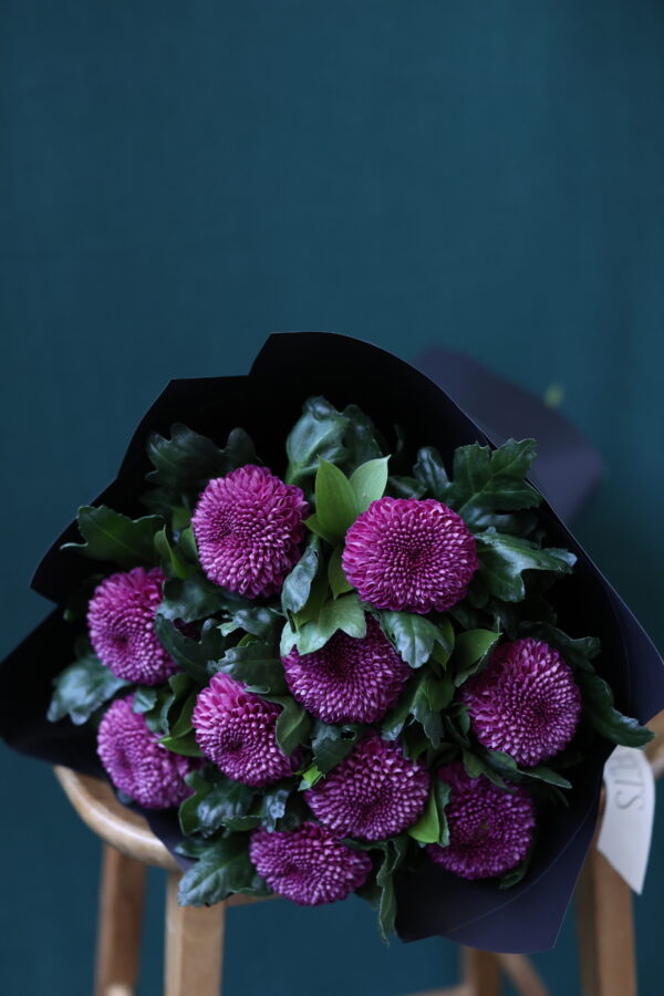 PONPON PURPLE 3 PONPON PURPLE 3