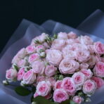 ROSA TROS 1