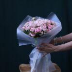 ROSA TROS 2