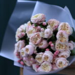 ROYAL BLUSH 1 (1)
