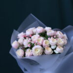ROYAL BLUSH 2