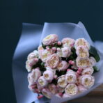 ROYAL BLUSH 5