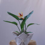 STARLİCE OF FLOWERS 1
