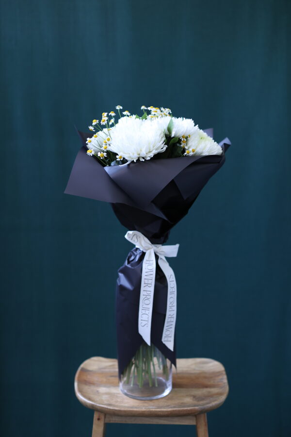 WHİTE ANASTASİA WHİTE ANASTASİA