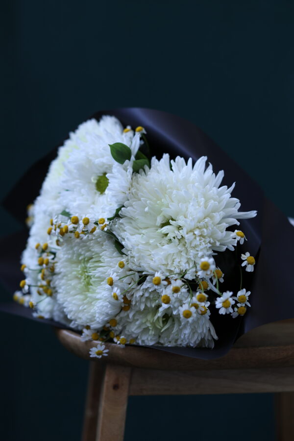 WHİTE ANASTASİA 1 WHİTE ANASTASİA 1