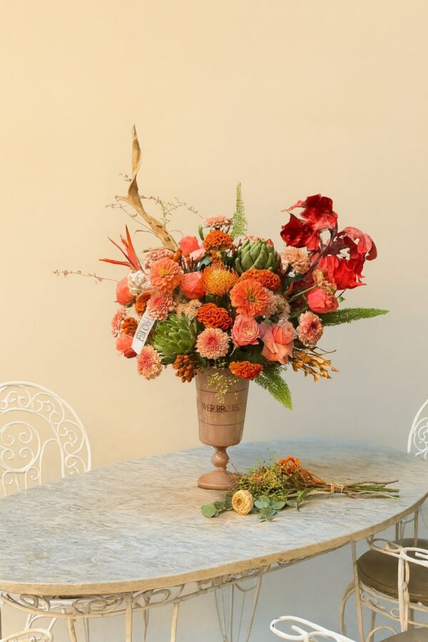 WhatsApp Image 2025-09-24 at 20.26.08 WhatsApp Image 2025-09-24 at 20.26.08